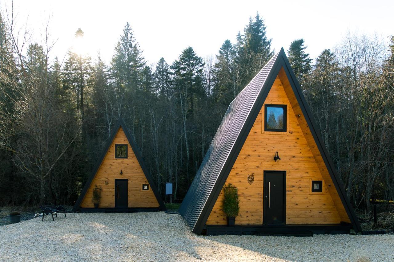 The Palo Cabins Predeal Εξωτερικό φωτογραφία